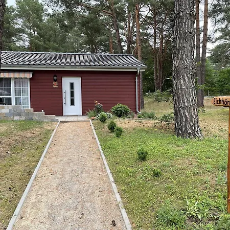 Eichhoernchen * Zossen