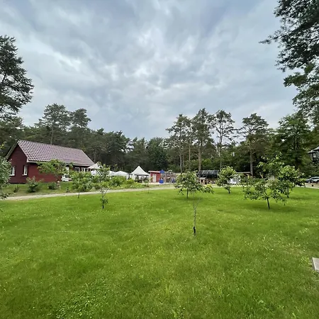 Eichhoernchen *
