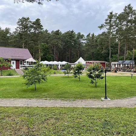 Eichhoernchen