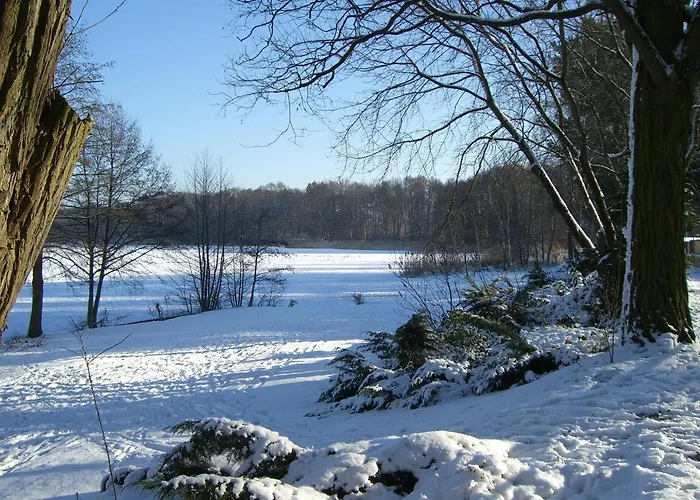 Eichhoernchen Сasa de vacaciones *