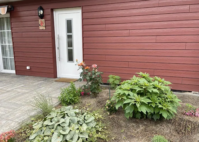 Eichhoernchen Zossen