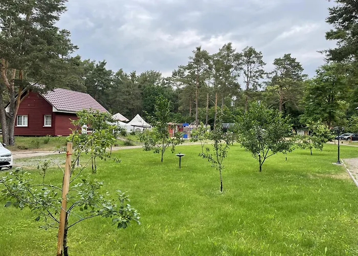 Eichhoernchen Zossen